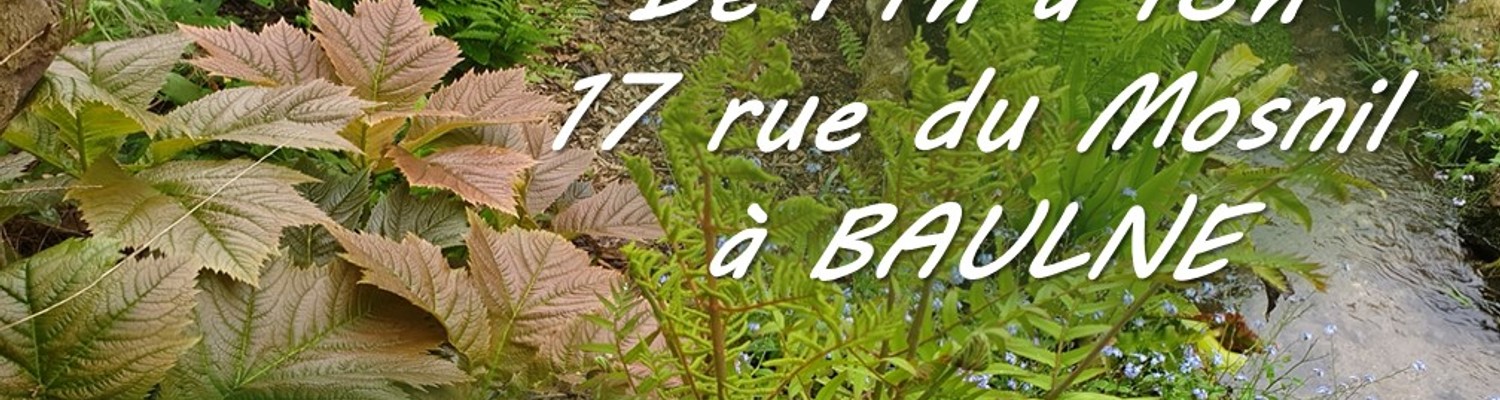 jardin-de-la-tourbiere-jpg - CC Val Essonne