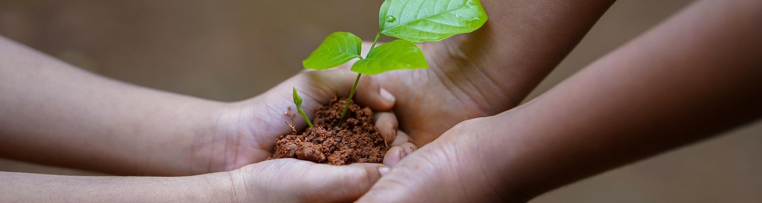eco-acteurs-jpg - CC Val Essonne