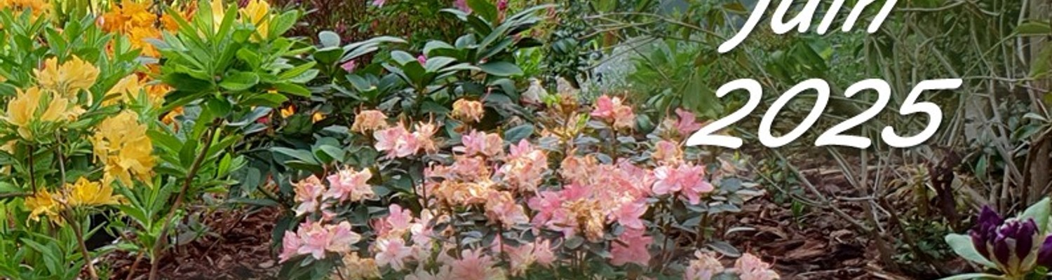 livret-secrets-de-jardins-printemps-2025-v-3-en-ligne-jpg - CC Val Essonne