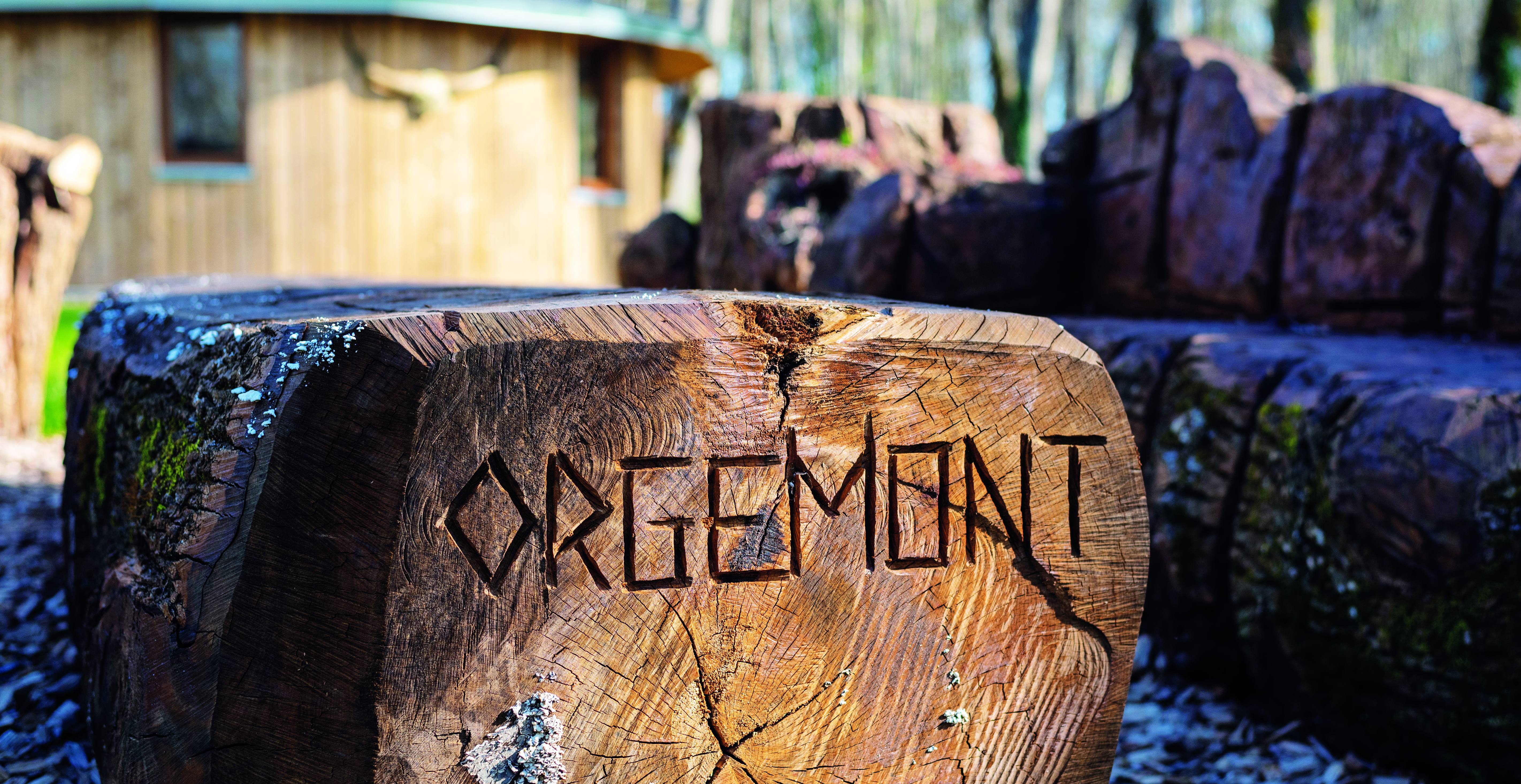 Découvrez un nouveau gîte sur le territoire du Val d'Essonne !  - DSC 0850