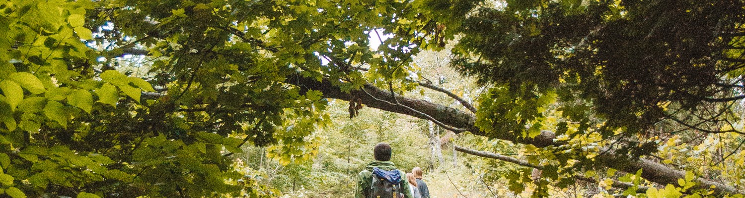plan-vertical-d-un-homme-avec-un-sac-a-dos-marchant-sur-une-voie-etroite-au-milieu-des-arbres-et-des-plantes-jpg - CC Val Essonne