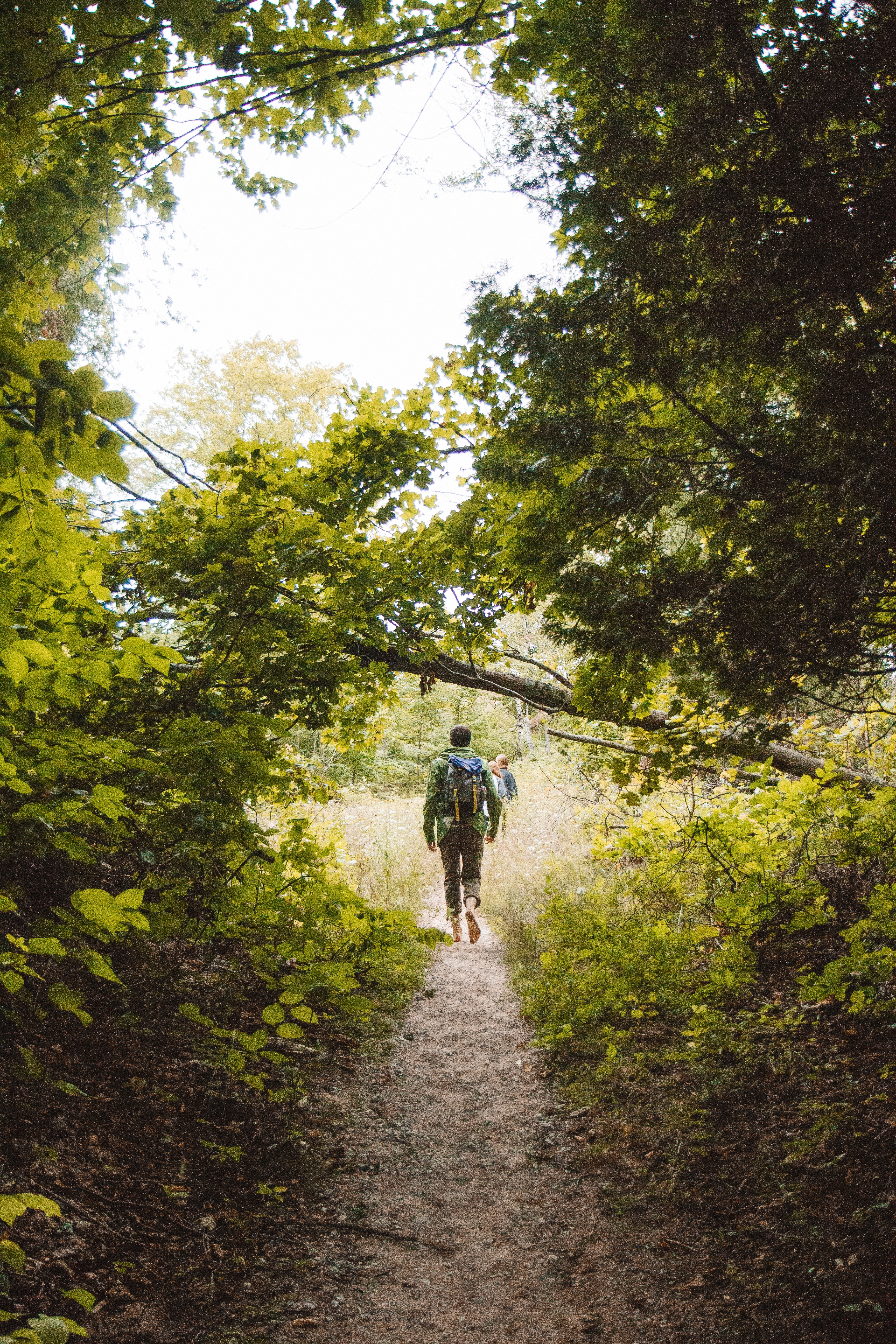 plan-vertical-d-un-homme-avec-un-sac-a-dos-marchant-sur-une-voie-etroite-au-milieu-des-arbres-et-des-plantes-jpg