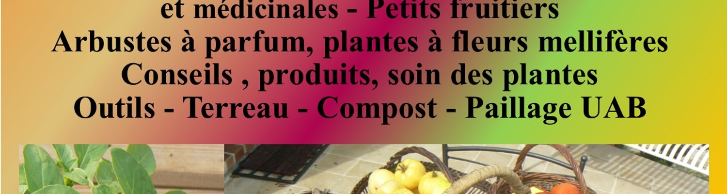 affiche-2-dates-mai-2024-jpg - CC Val Essonne