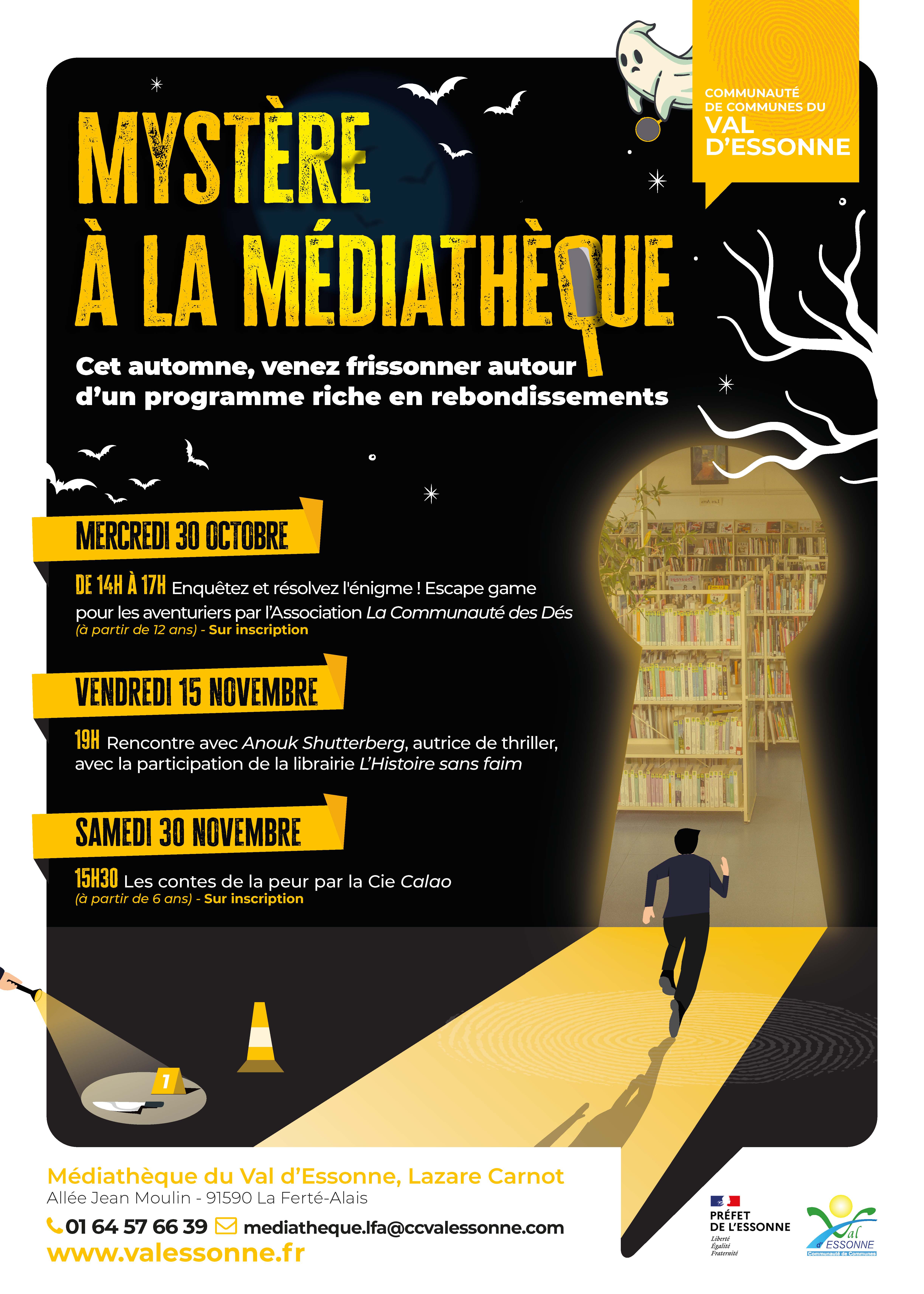 affiche-mystere-mediatheque-lfa-jpg