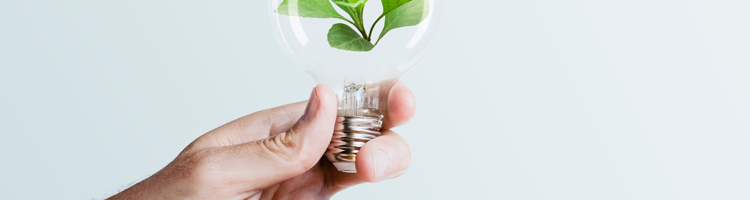 sustainable-energy-campaign-hand-holding-tree-light-bulb-media-remix-jpg - CC Val Essonne