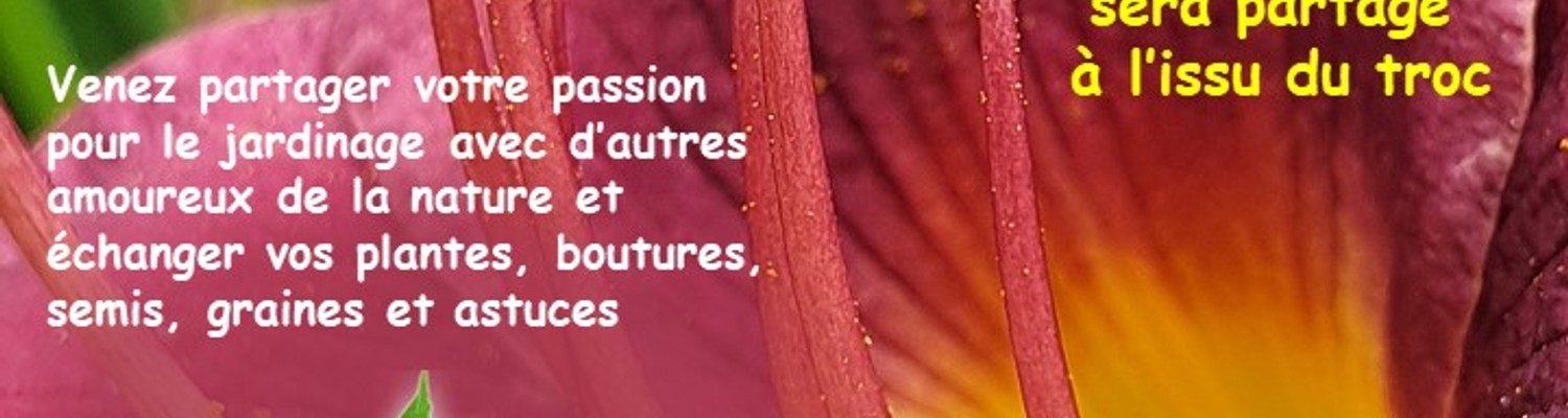 affiche-troc-aux-plantes-2024-11-11-jpg - CC Val Essonne