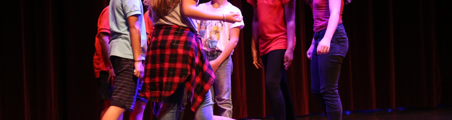 2018-06-13-fete-du-conservatoire-6-jpg - CC Val Essonne