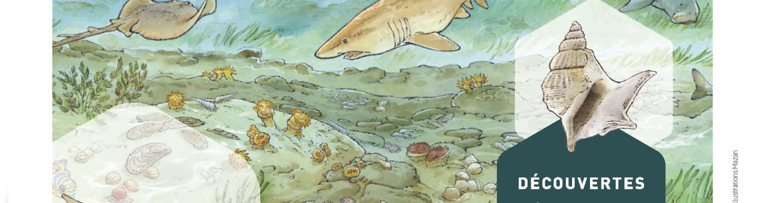 flyer-expo-geologie-ep-png - CC Val Essonne