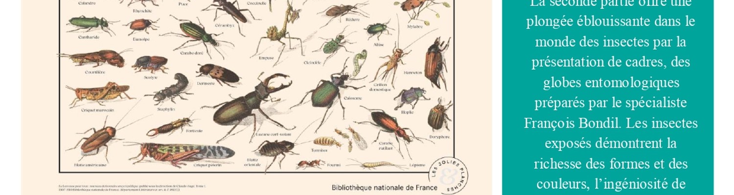 affiche-expo-le-monde-merveilleux-des-insectes-ete-2024-page-0001-jpg - CC Val Essonne