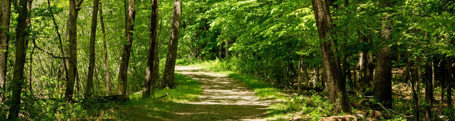 foret-jpg - CC Val Essonne